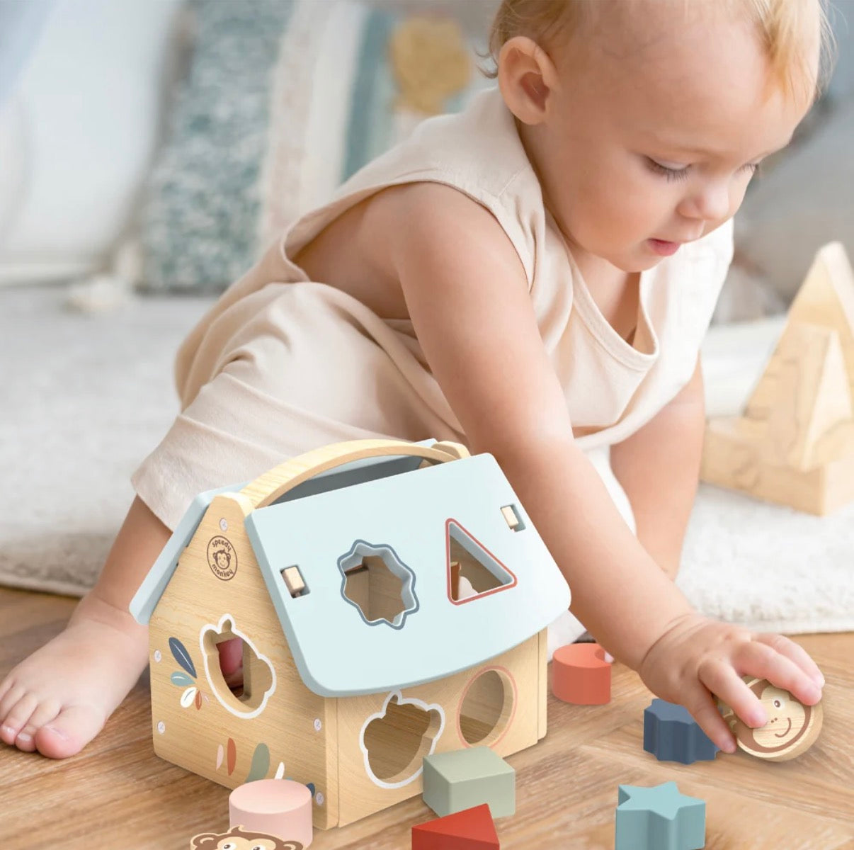 Speedy Monkey House Shape Sorter