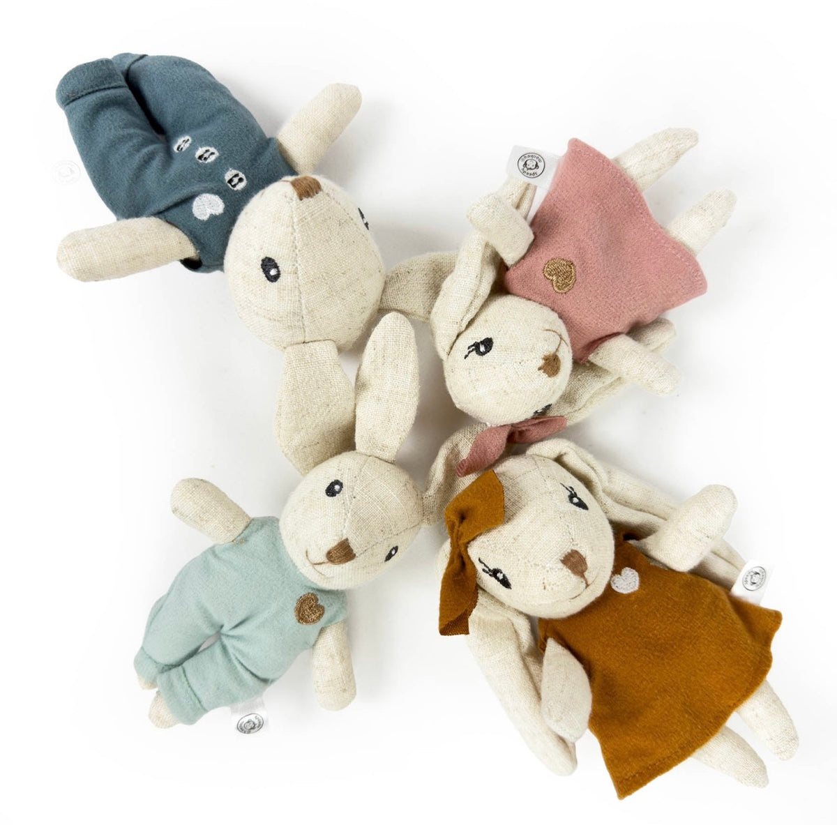 Speedy Monkey Rabbit Family