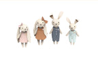 Speedy Monkey Rabbit Family