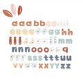 Speedy Monkey  Magnetic Letters 60 pcs